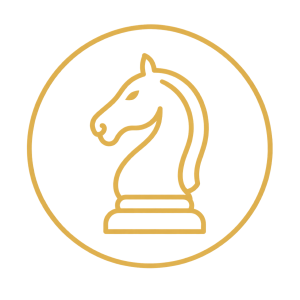 Internal Audit Strategy Icon